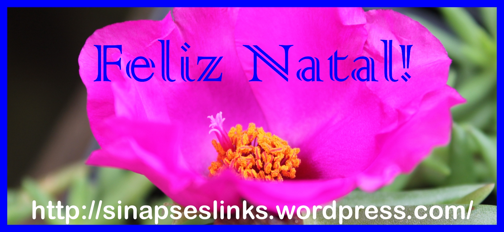 20121217_SinapsesLinks_Natal