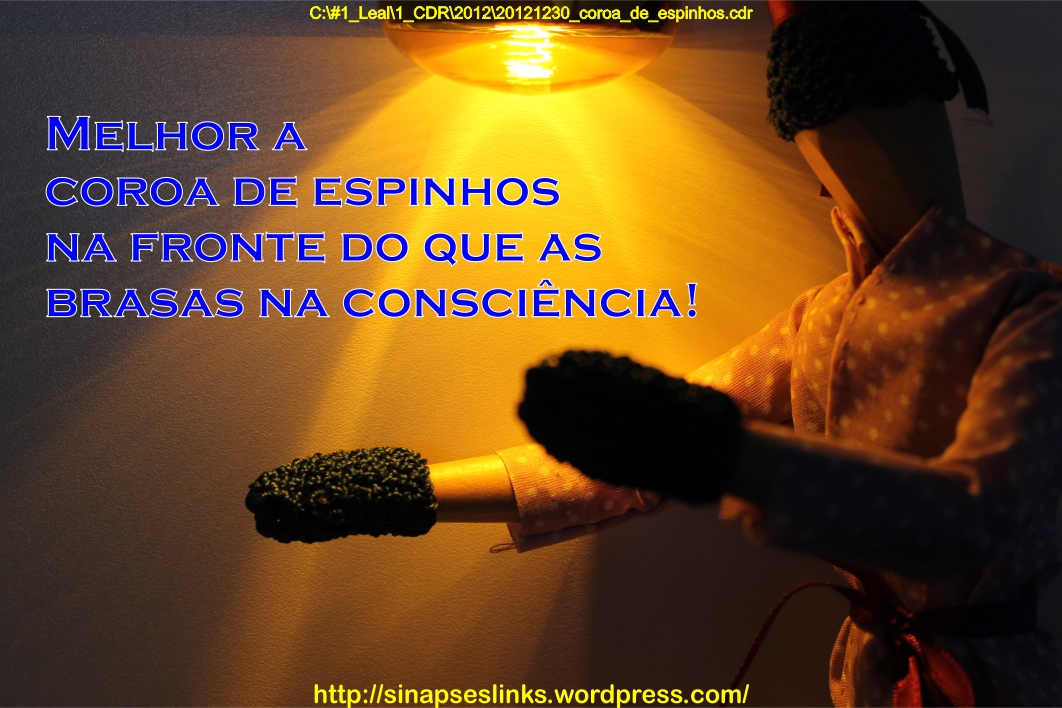 20121230_coroa_de_espinhos