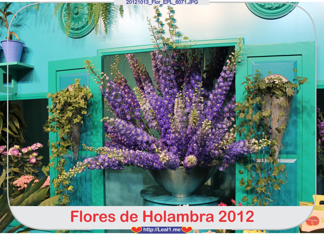 cIbV_20121013_Flor_EPL_6071