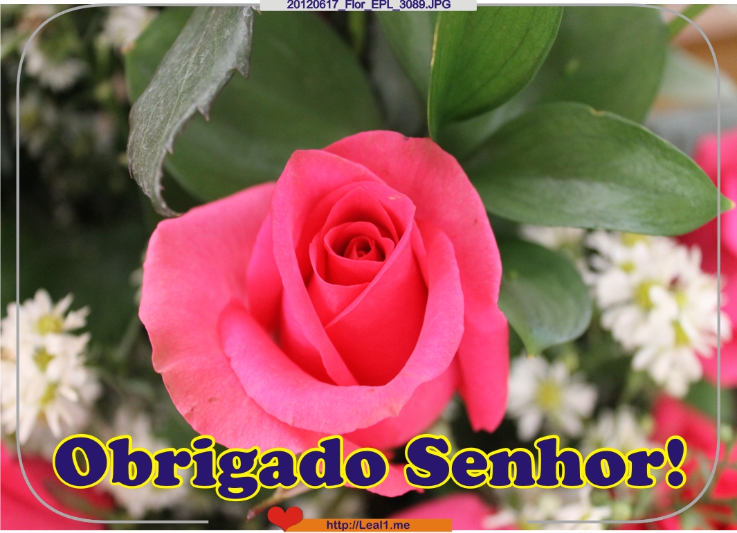 dBHc_20120617_Flor_EPL_3089