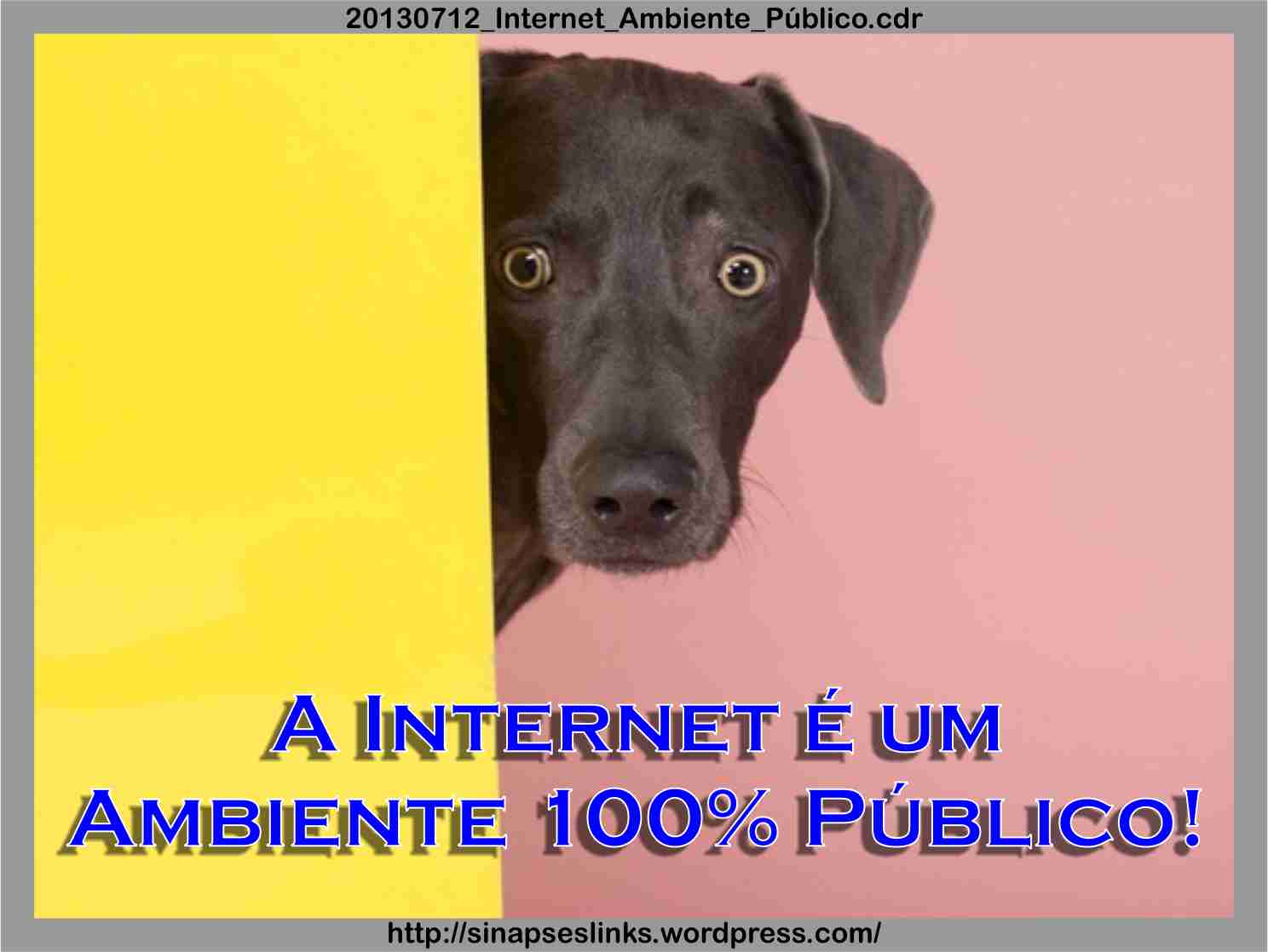20130712_Internet_Ambiente_Público
