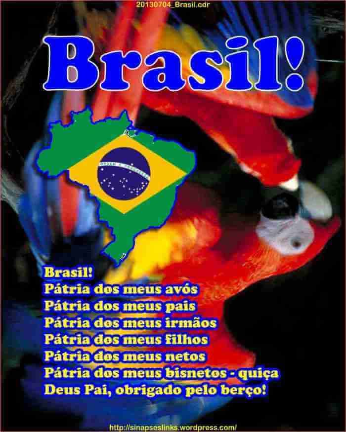 20130704_brasil